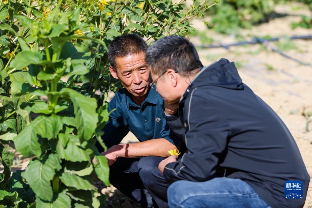 澳门新永利游戏